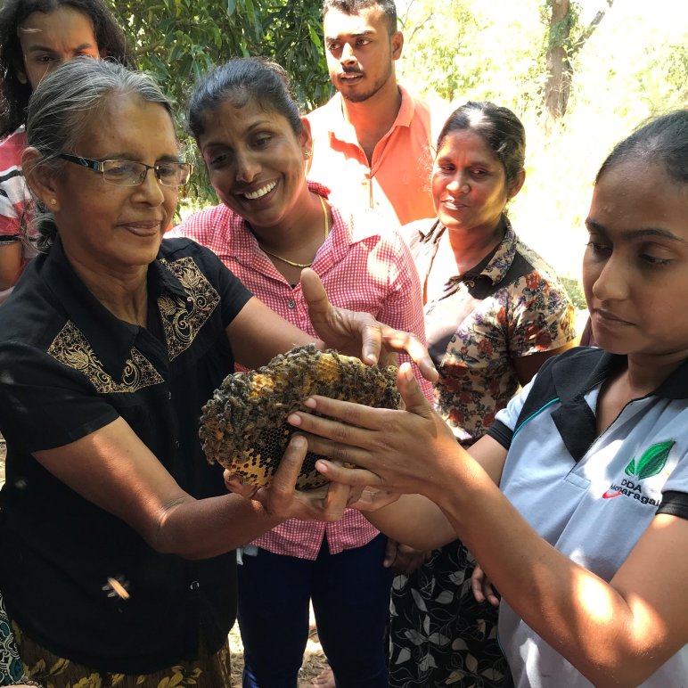 Sri Lanka imkeren