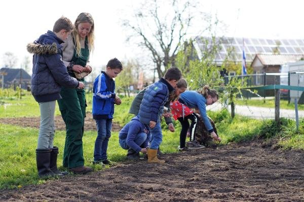 drachtplanten zaaien