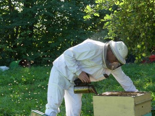 imker aan het werk honing uit Estland