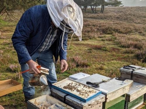 imker bij oogst heidehoning